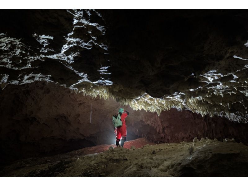 【石垣島本格ケイビング(洞窟探検/半日)】【白亜の神殿 未知なる世界へ挑む大冒険】【1名様OK!!】GoGoTourオリジナルコースの紹介画像