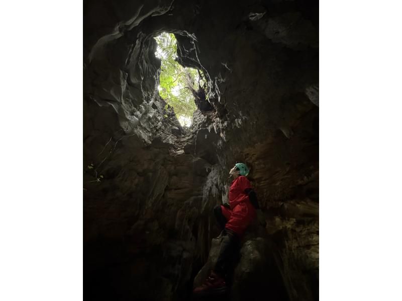 【石垣島本格ケイビング(洞窟探検/半日)】【白亜の神殿 未知なる世界へ挑む大冒険】【1名様OK!!】GoGoTourオリジナルコースの紹介画像