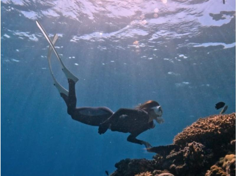 【那覇発・慶良間諸島】初心者向けスキンダイビング！絶景のケラマブルー★那覇市内送迎★写真・動画プレゼント！の紹介画像