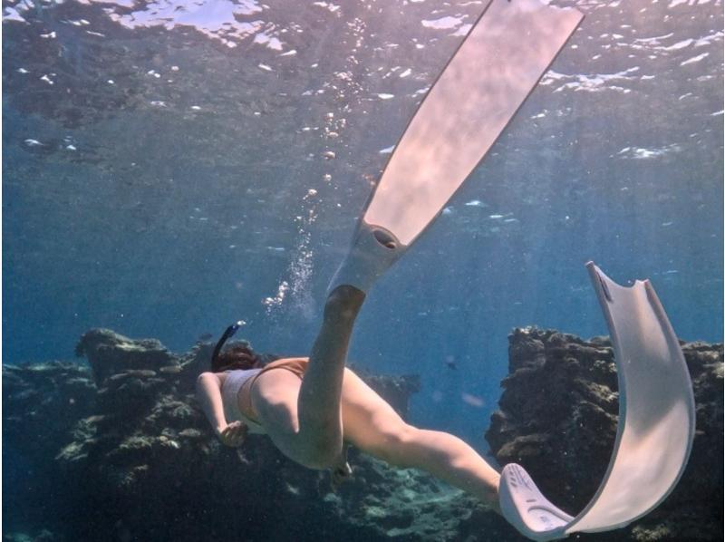 【沖縄・半日・送迎あり】水中写真・動画プレゼント！☆お1人様も大歓迎☆初心者向けスキンダイビングの紹介画像