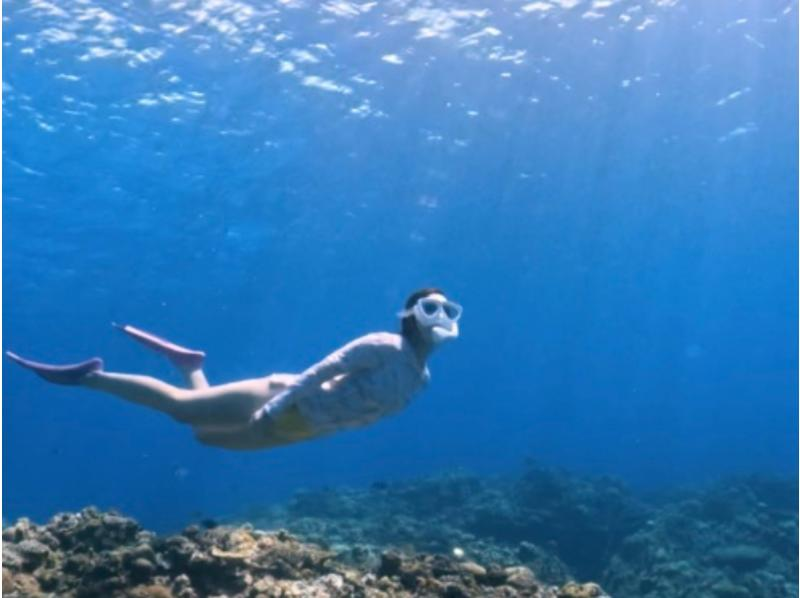 【沖縄・半日・送迎あり】水中写真・動画プレゼント！☆お1人様も大歓迎☆初心者向けスキンダイビングの紹介画像