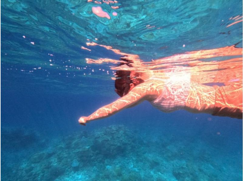 【沖縄・半日・送迎あり】水中写真・動画プレゼント！☆お1人様も大歓迎☆初心者向けスキンダイビングの紹介画像