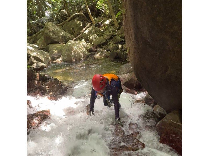 【石垣島リバートレッキング・キャニオニング(半日)】【あやぱにの滝ウォーターパワーチャージ】【1名様OK】GoGoTourオリジナルコースの紹介画像