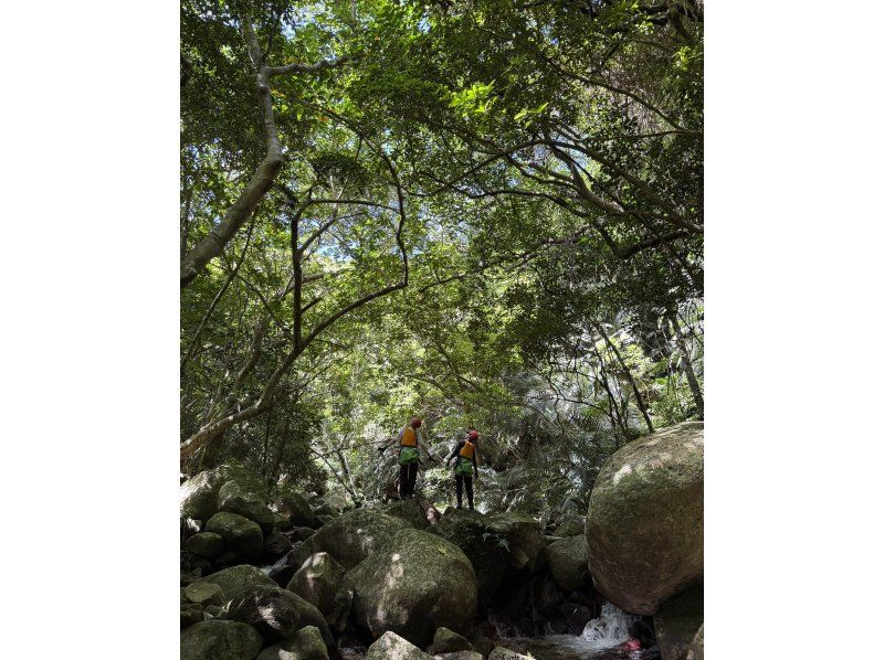 【石垣島キャニオニング(半日)】【あやぱにの滝！ウォーターパワーチャージ！】【1名様もOK!!】GoGoTourオリジナルコースの紹介画像