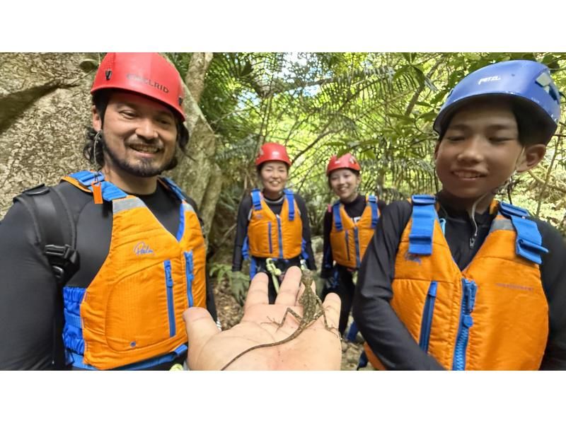 【石垣島キャニオニング(半日)】【あやぱにの滝！ウォーターパワーチャージ！】【1名様もOK!!】GoGoTourオリジナルコースの紹介画像