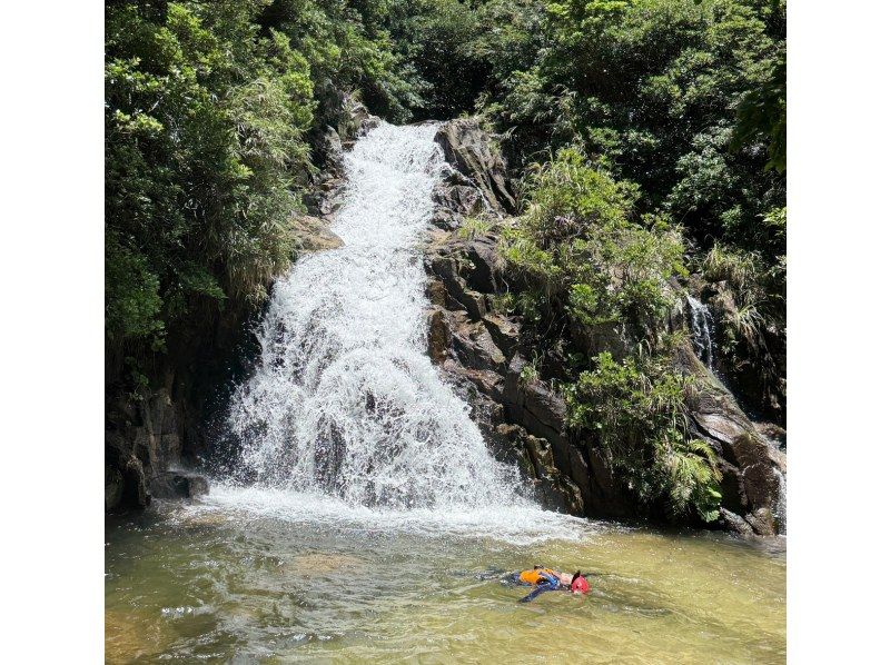 【石垣島リバートレッキング・キャニオニング(半日)】【あやぱにの滝ウォーターパワーチャージ】【1名様OK】GoGoTourオリジナルコースの紹介画像