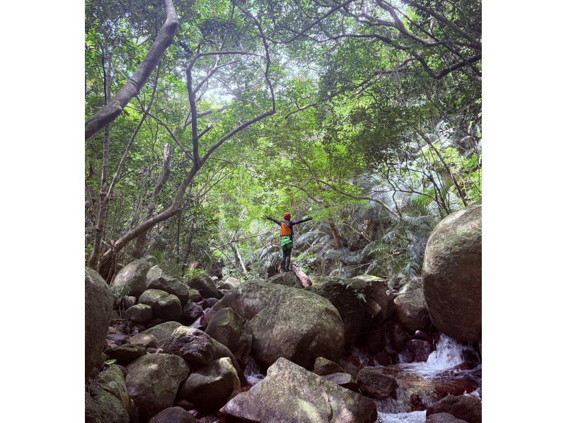 【石垣島リバートレッキング・キャニオニング(半日)】【あやぱにの滝ウォーターパワーチャージ】【1名様OK】GoGoTourオリジナルコースの紹介画像