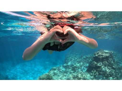 【那覇発・半日】海ガメシュノーケリング★透明度30m以上★快適!ボートで行く慶良間諸島★ウミガメと泳ごうツアー 【那覇発・半日】海ガメシュノーケリング★透明度30m以上★快適!ボートで行く慶良間諸島★ウミガメと泳ごうツアー