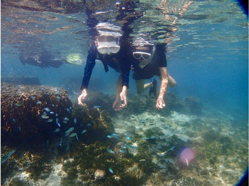 【那覇発・半日】海ガメシュノーケリング★透明度30m以上★快適！ボートで行く慶良間諸島★ウミガメと泳ごうツアーの紹介画像