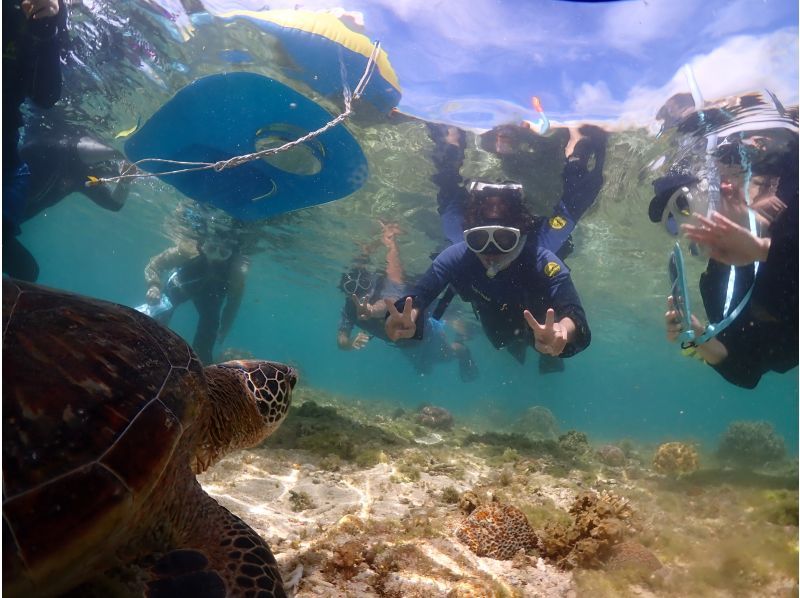 【那覇発・半日】海ガメシュノーケリング★透明度30m以上★快適！ボートで行く慶良間諸島★ウミガメと泳ごうツアーの紹介画像