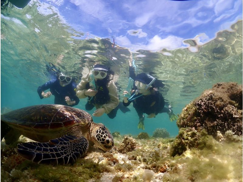 【那覇発・半日】海ガメシュノーケリング★透明度30m以上★快適！ボートで行く慶良間諸島★ウミガメと泳ごうツアーの紹介画像