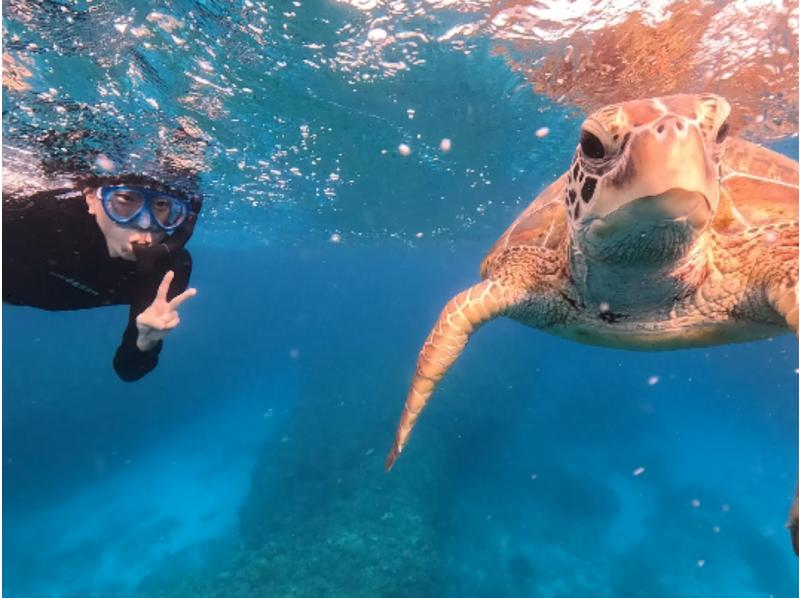 【那覇発・半日】海ガメシュノーケリング★透明度30m以上★快適！ボートで行く慶良間諸島★ウミガメと泳ごうツアーの紹介画像
