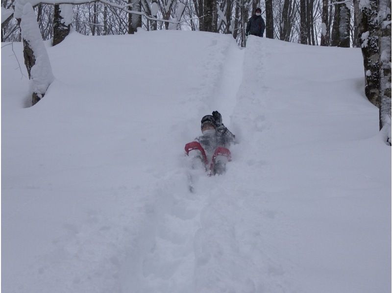 【秋田・田沢湖・スノーシュー】雪道でもスイスイ歩ける！スノートレッキング（ティータイム付）の紹介画像