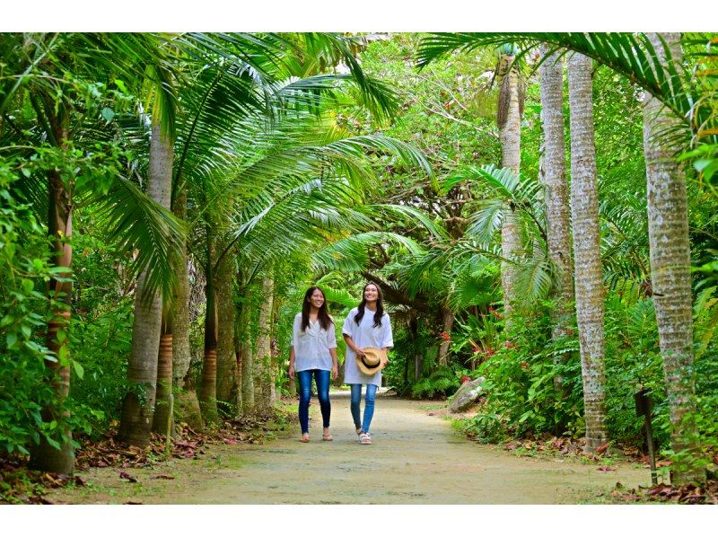 【ジャングル探検2島めぐり】西表島ちょっぴりジャングル探検と由布島＜約6時間／昼食付／E-4T＞の紹介画像