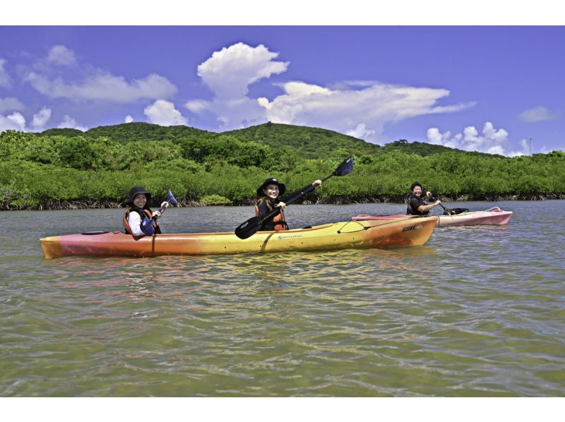 【カヌー体験2島めぐり】西表島ちょっぴりカヌー体験と由布島＜約6時間／昼食付／E-4C＞の紹介画像