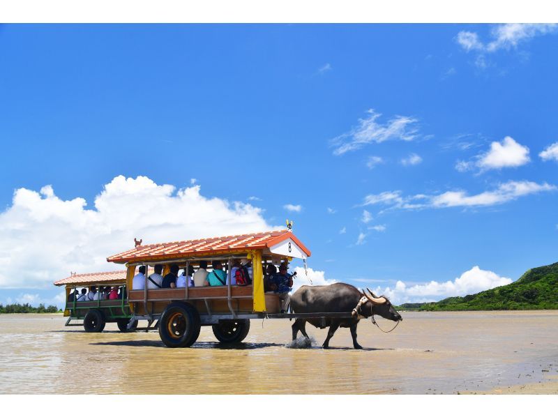 【カヌー体験2島めぐり】西表島ちょっぴりカヌー体験と由布島＜約6時間／昼食付／E-4C＞の紹介画像