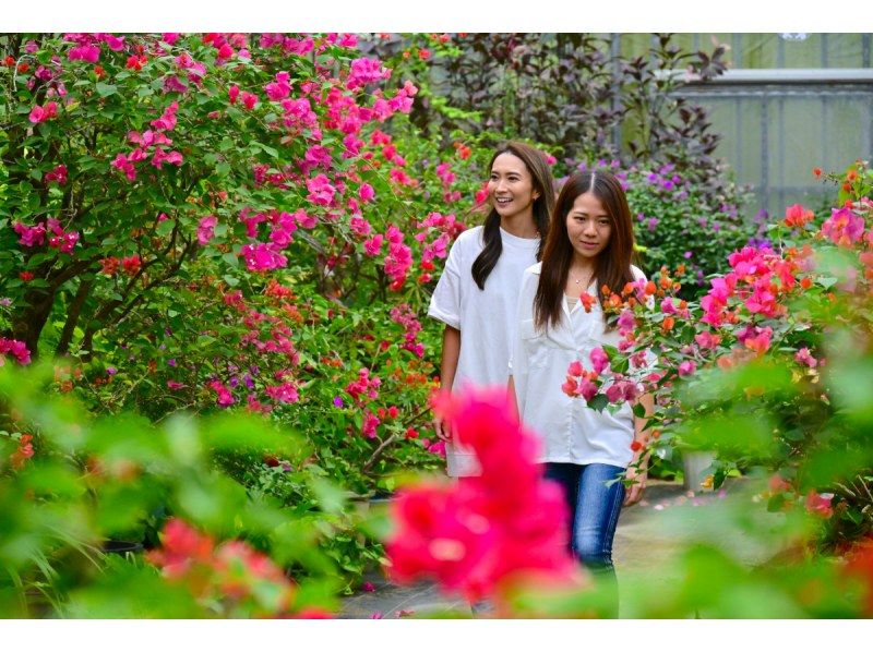 【カヌー体験2島めぐり】西表島ちょっぴりカヌー体験と由布島＜約6時間／昼食付／E-4C＞の紹介画像