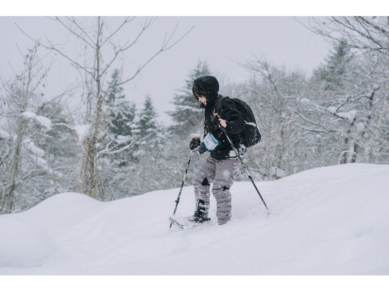 【秋田・田沢湖】雪の絨毯を踏みしめながら自然の美を堪能！スノーシュートレッキングで雪の世界を楽しもう！の紹介画像