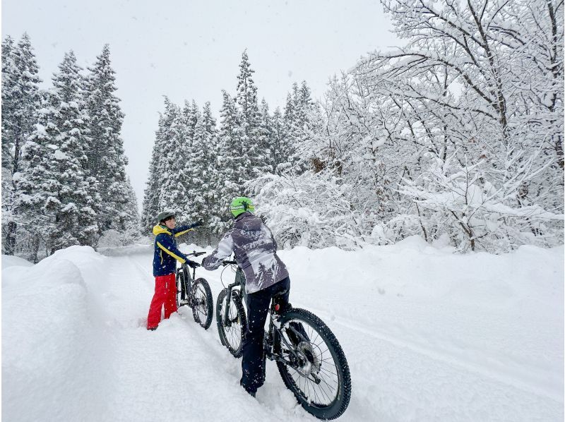 [Akita, Lake Tazawa] Cycling through the snowy scenery! Snow cycling tour!の紹介画像