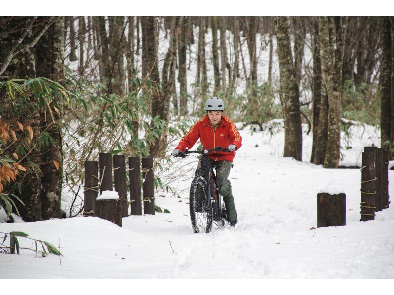 [อากิตะ ทะเลสาบทาซาวะ] ปั่นจักรยานชมทิวทัศน์หิมะ! ทัวร์ปั่นจักรยานบนหิมะ!の紹介画像