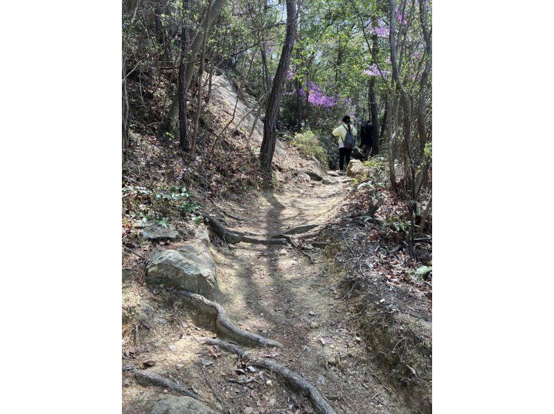 【岡山・赤磐市】歴史ミステリートレイルウォーク〜熊山遺跡編〜「謎多き石積みピラミッドを調査せよ」の紹介画像