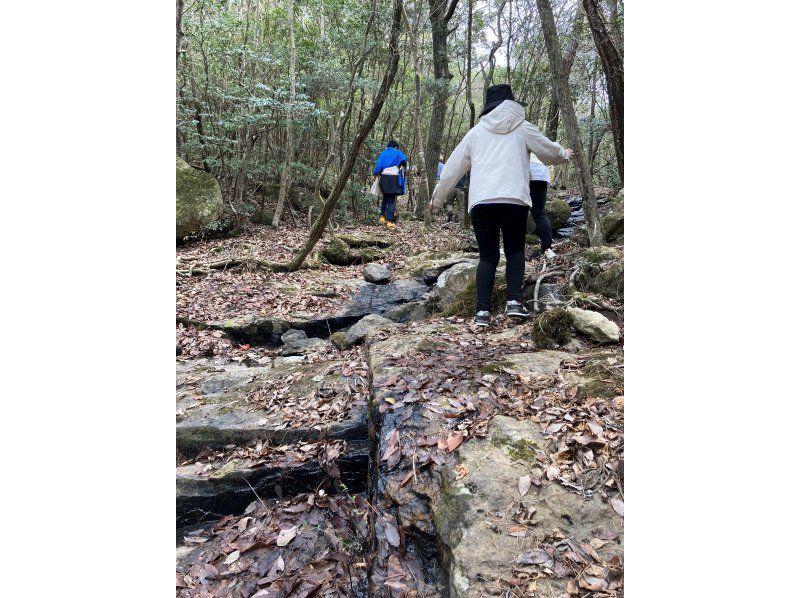 【岡山・赤磐市】歴史ミステリートレイルウォーク〜熊山遺跡編〜「謎多き石積みピラミッドを調査せよ」の紹介画像