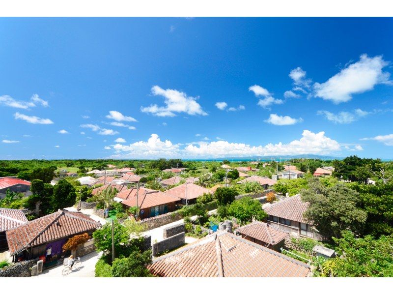 【ジャングル探検3島めぐり】西表島ちょっぴりジャングル探検と由布島＋選べる竹富島観光＜7時間～／昼食付／E-3T＞の紹介画像