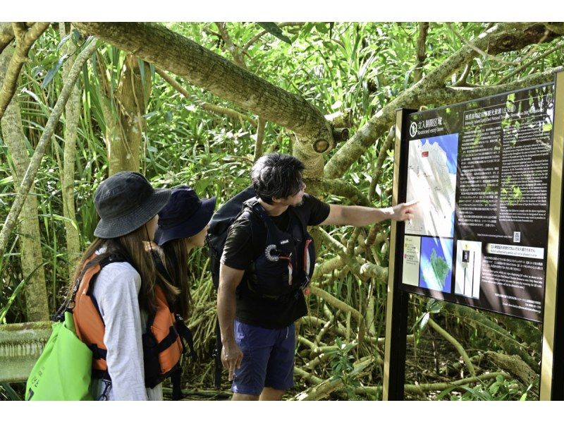 【ジャングル探検3島めぐり】西表島ちょっぴりジャングル探検と由布島＋選べる竹富島観光＜7時間～／昼食付／E-3T＞の紹介画像