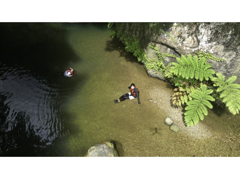 【ジャングル探検3島めぐり】西表島ちょっぴりジャングル探検と由布島＋選べる竹富島観光＜7時間～／昼食付／E-3T＞の紹介画像