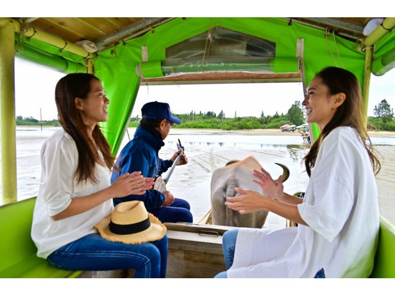 【ジャングル探検3島めぐり】西表島ちょっぴりジャングル探検と由布島＋選べる竹富島観光＜7時間～／昼食付／E-3T＞の紹介画像