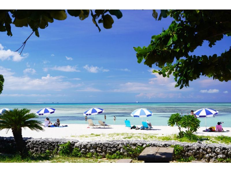 【ジャングル探検3島めぐり】西表島ちょっぴりジャングル探検と由布島＋選べる竹富島観光＜7時間～／昼食付／E-3T＞の紹介画像