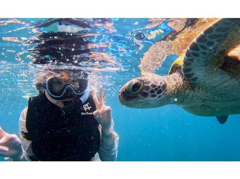 [Ishigaki Island / 1 day] Mangrove drone & SUP/Kayak with SLR + Blue Cave Sea Turtle Encounter Rate 99.9% Snorkeling & Kabira Bay Drone & Healing Waterfallの紹介画像