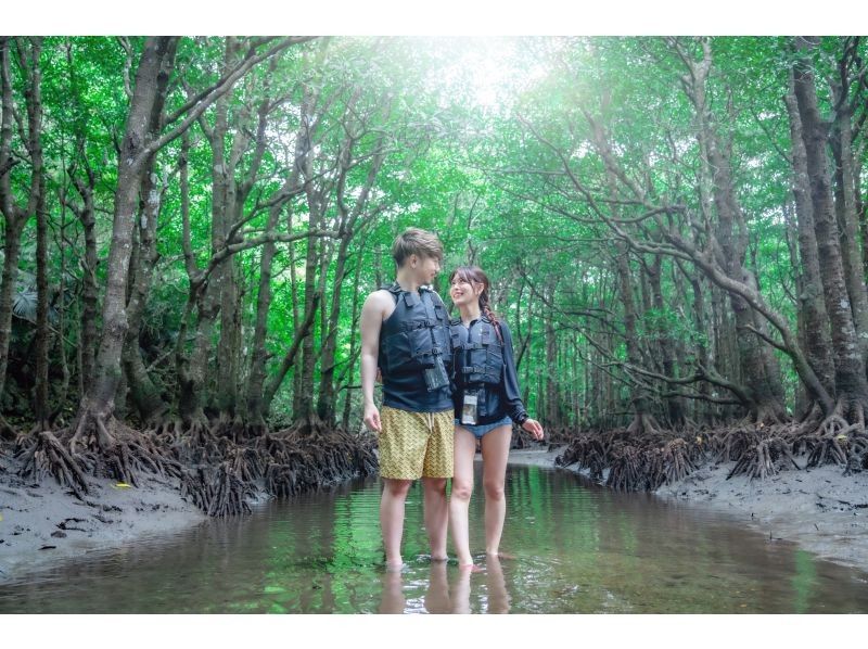 [Ishigaki Island / 1 day] Mangrove drone & SUP/Kayak with SLR + Blue Cave Sea Turtle Encounter Rate 99.9% Snorkeling & Kabira Bay Drone & Healing Waterfallの紹介画像