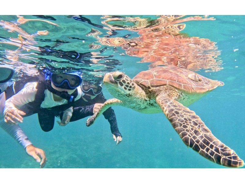 [Ishigaki Island / 1 day] Mangrove drone & SUP/Kayak with SLR + Blue Cave Sea Turtle Encounter Rate 99.9% Snorkeling & Kabira Bay Drone & Healing Waterfallの紹介画像