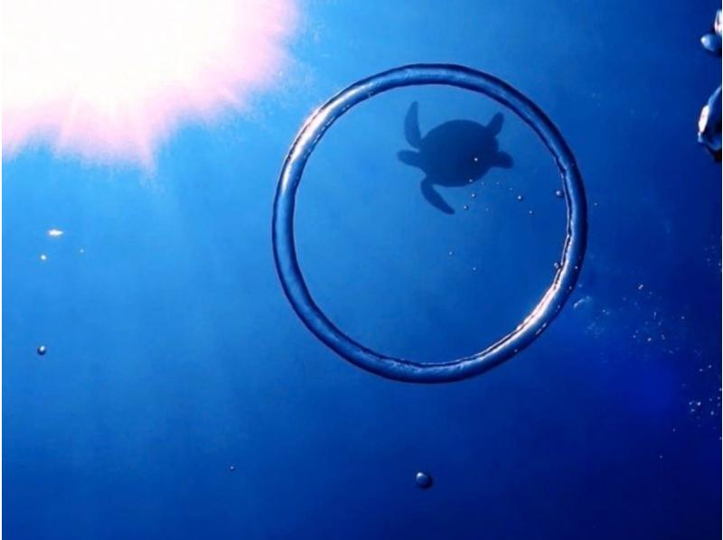 【那覇・糸満周辺・ビーチシュノーケリング】ウミガメと泳げる！？★天然の水族館で絶景ツアー★泳げない方も大歓迎の紹介画像
