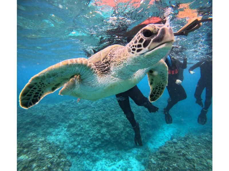 ★期間限定学割★竹富島往復チケット付き【石垣島・当店人気No.1】幻の島&times;ウミガメシュノーケル！0〜85歳可｜当日予約OK｜写真・送迎無料！の紹介画像