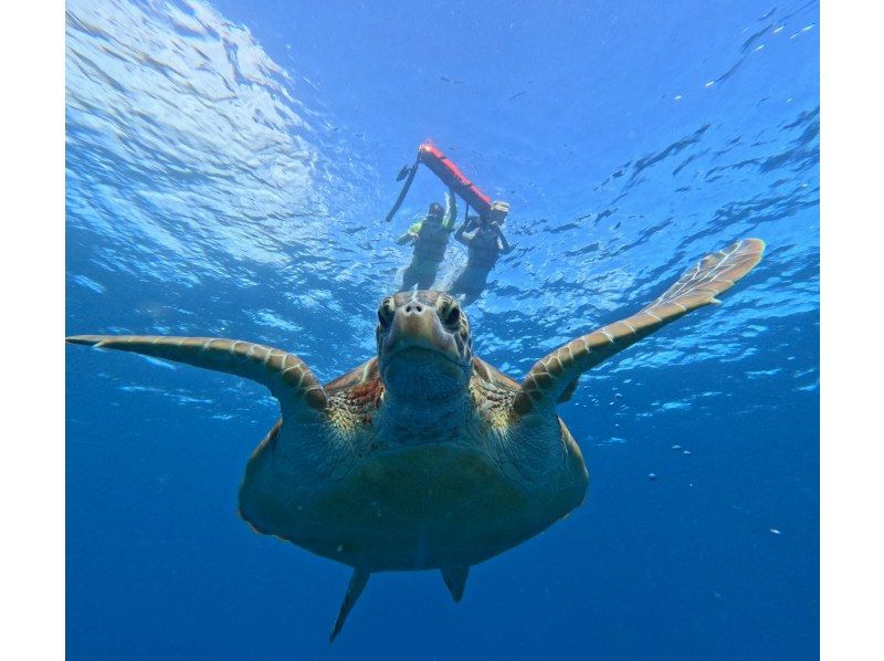 ★期間限定学割★竹富島往復チケット付き【石垣島・当店人気No.1】幻の島&times;ウミガメシュノーケル！0〜85歳可｜当日予約OK｜写真・送迎無料！の紹介画像