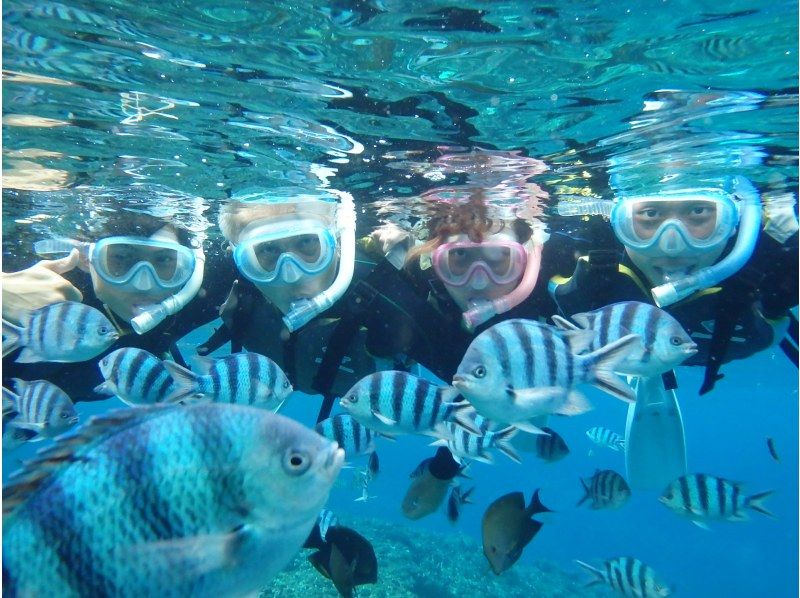 [Okinawa, Onna Village] Blue Cave Snorkel Adventure Tourの紹介画像