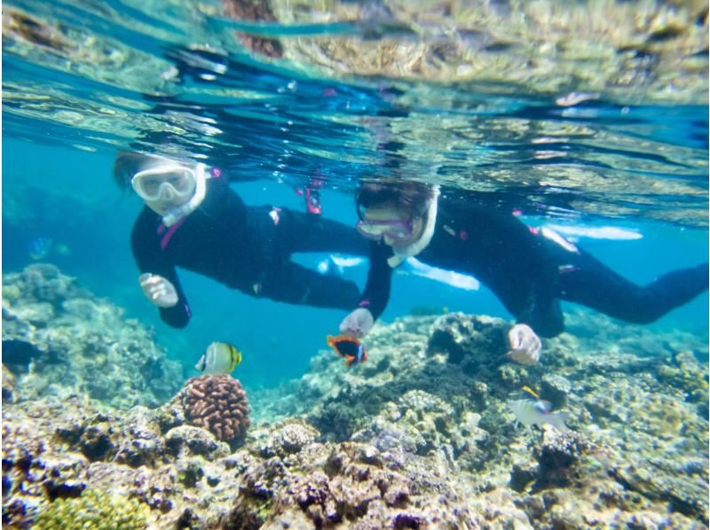 [Okinawa, Onna Village] Kayak! Blue Cave Snorkeling Adventure Tour (3 hours) Explore the coastline and head through the large cave to the Blue Cave!の紹介画像