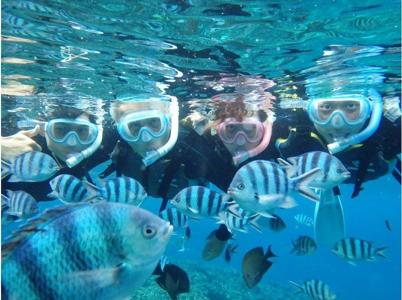 [Okinawa, Onna Village] Kayak! Blue Cave Snorkeling Adventure Tour (3 hours) Explore the coastline and head through the large cave to the Blue Cave!の紹介画像