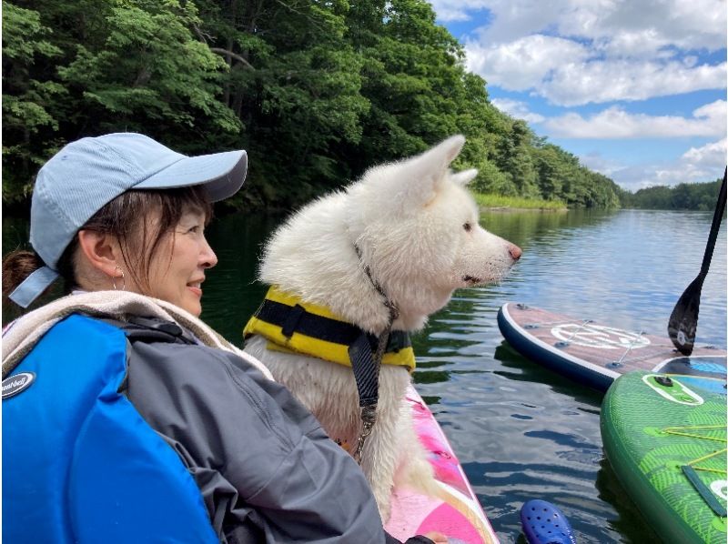 [Hokkaido, Tokachi] Near Obihiro Airport, reserved for one group! A niche spot at the foot of Hidaka Mountains National Park with outstanding transparency and location <Mirror Water SUP Stand Up Paddleboarding Experience>の紹介画像