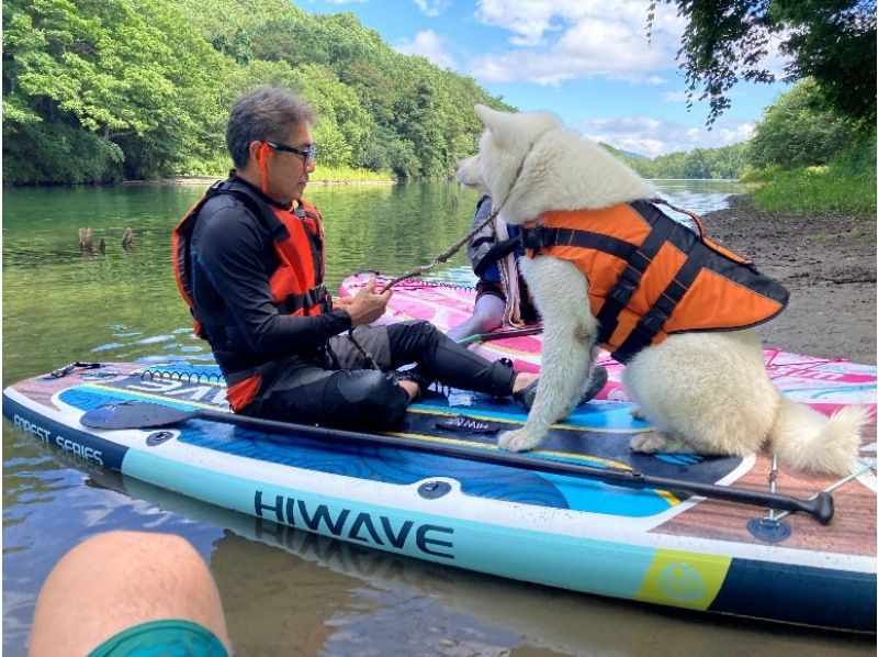 [Hokkaido, Tokachi] Near Obihiro Airport, reserved for one group! A niche spot at the foot of Hidaka Mountains National Park with outstanding transparency and location <Mirror Water SUP Stand Up Paddleboarding Experience>の紹介画像