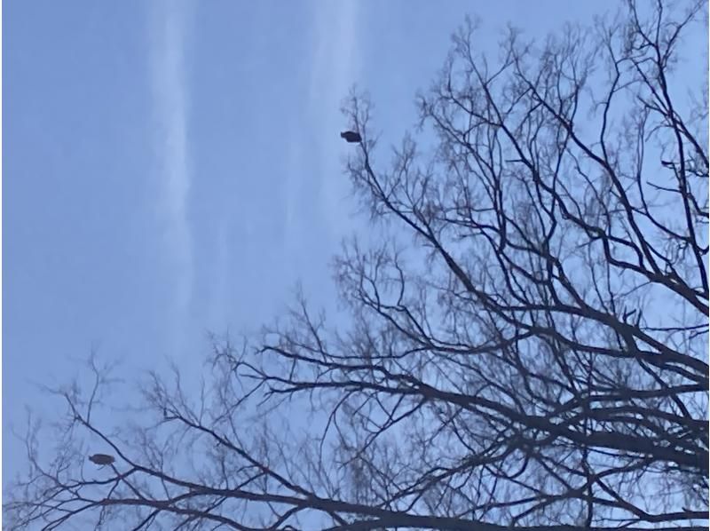 【北海道・十勝】フォトジェニック冬の十勝川・川霧や霧氷、ダイヤモンドダスト、氷の花が咲くカヌーツアー〈冬のしばれ川旅フォトリバークルーズ〉の紹介画像