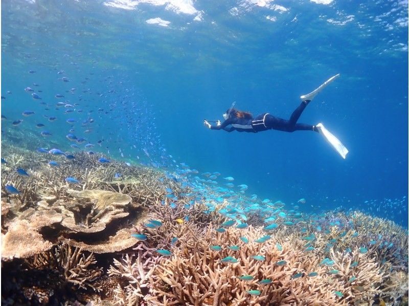 【沖縄・宮古島】八重干瀬半日シュノーケルツアー！女性ダイビングインストラクターで少人数制だから安心（水中撮影・ドローン撮影無料）の紹介画像