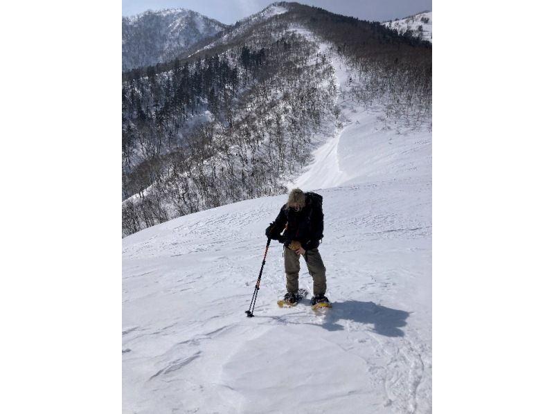 [Hokkaido, Tokachi] March and April only! Snowshoe hike in the winter mountains of Hidaka Mountains National Park! 〈Backcountry Snowshoe 1-Day〉 with a panoramic view of the Tokachi Plainの紹介画像
