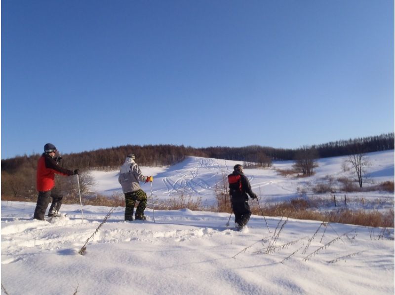 [Hokkaido, Tokachi] Have the vast ranch of Tokachi, the dairy powerhouse, all to yourself! Snowshoe walk (Tokanich Ranch Snowshoe Trekking)の紹介画像