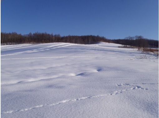 【北海道・十勝】酪農大国十勝のひろーい牧場を独り占め!スノーシューで散策〈トカニッチ・牧場スノーシュートレッキング〉 【北海道・十勝】酪農大国十勝のひろーい牧場を独り占め!スノーシューで散策〈トカニッチ・牧場スノーシュートレッキング〉