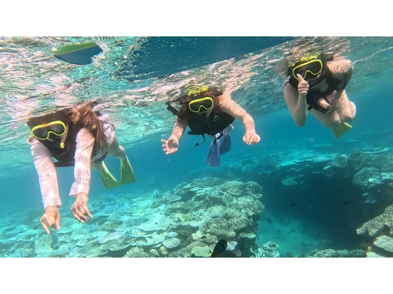 Go from a popular spot! Beach snorkeling ♪の紹介画像