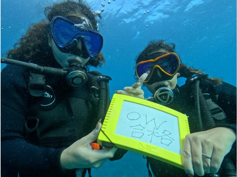 《沖縄・ダイビングライセンス》最短2日でオープンウォーターダイバー★初心者・お1人様大歓迎！安心の少人数制★楽しくダイバーデビュー！の紹介画像