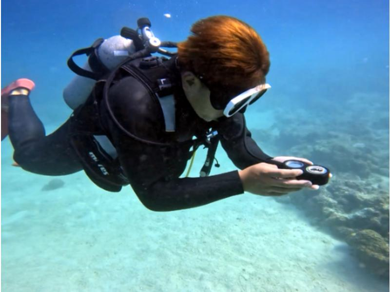 《沖縄・ダイビングライセンス》最短2日でオープンウォーターダイバー★初心者・お1人様大歓迎！安心の少人数制★楽しくダイバーデビュー！の紹介画像